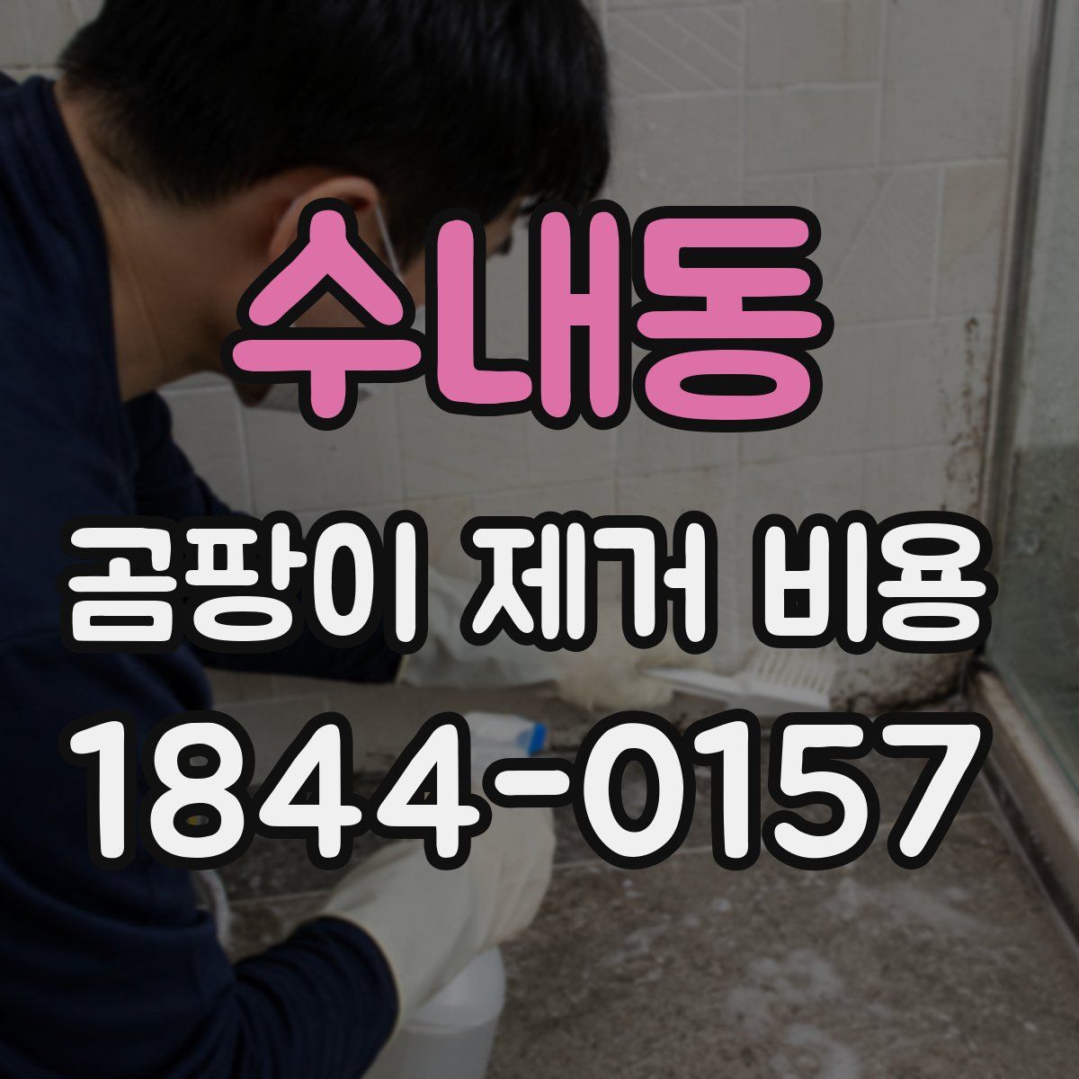 수내동 곰팡이 제거 비용