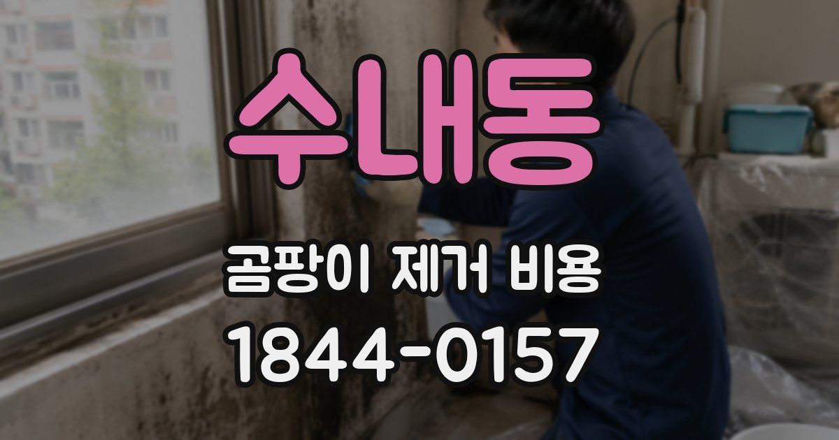 수내동 곰팡이 제거 비용