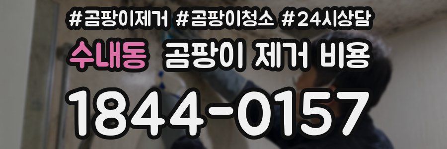 수내동 곰팡이 제거 비용