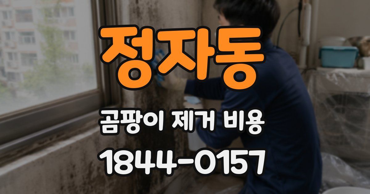 정자동 곰팡이 제거 비용