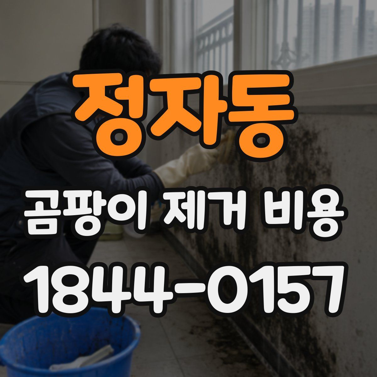 정자동 곰팡이 제거 비용
