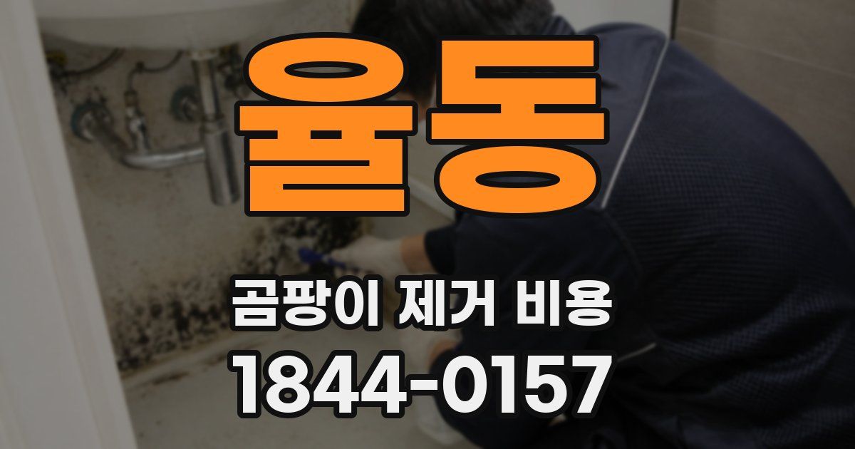 율동 곰팡이 제거 비용