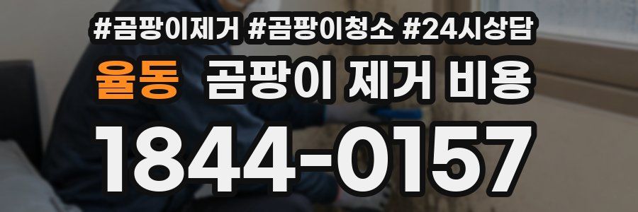 율동 곰팡이 제거 비용