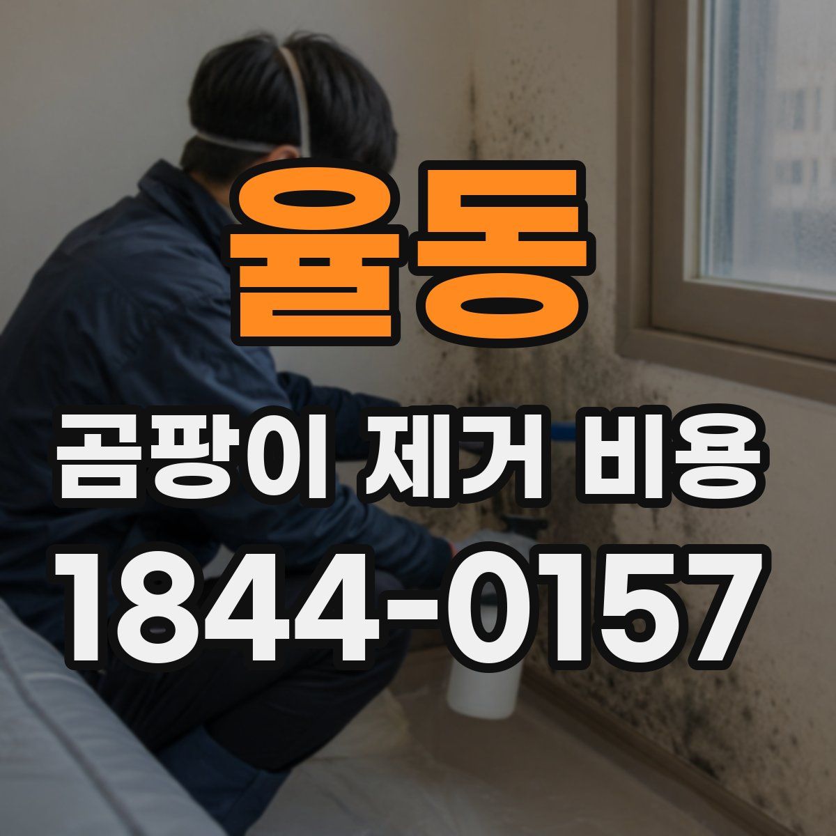 율동 곰팡이 제거 비용