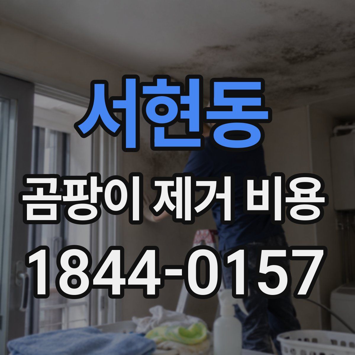 서현동 곰팡이 제거 비용
