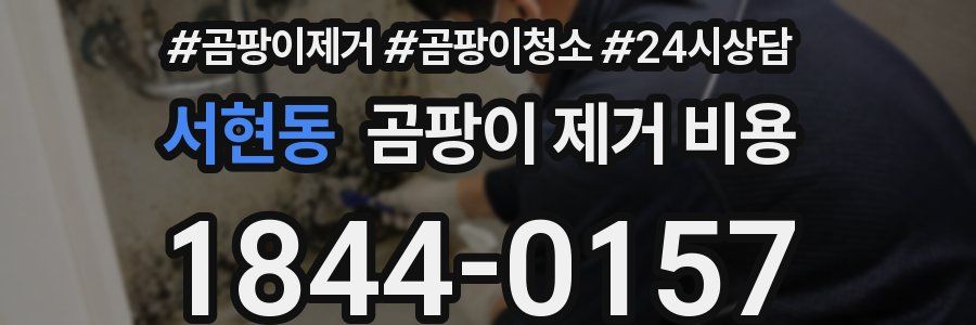 서현동 곰팡이 제거 비용