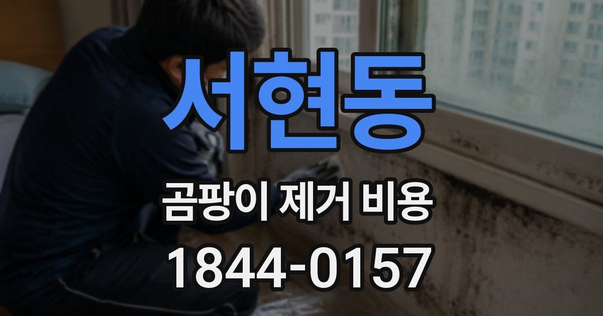 서현동 곰팡이 제거 비용