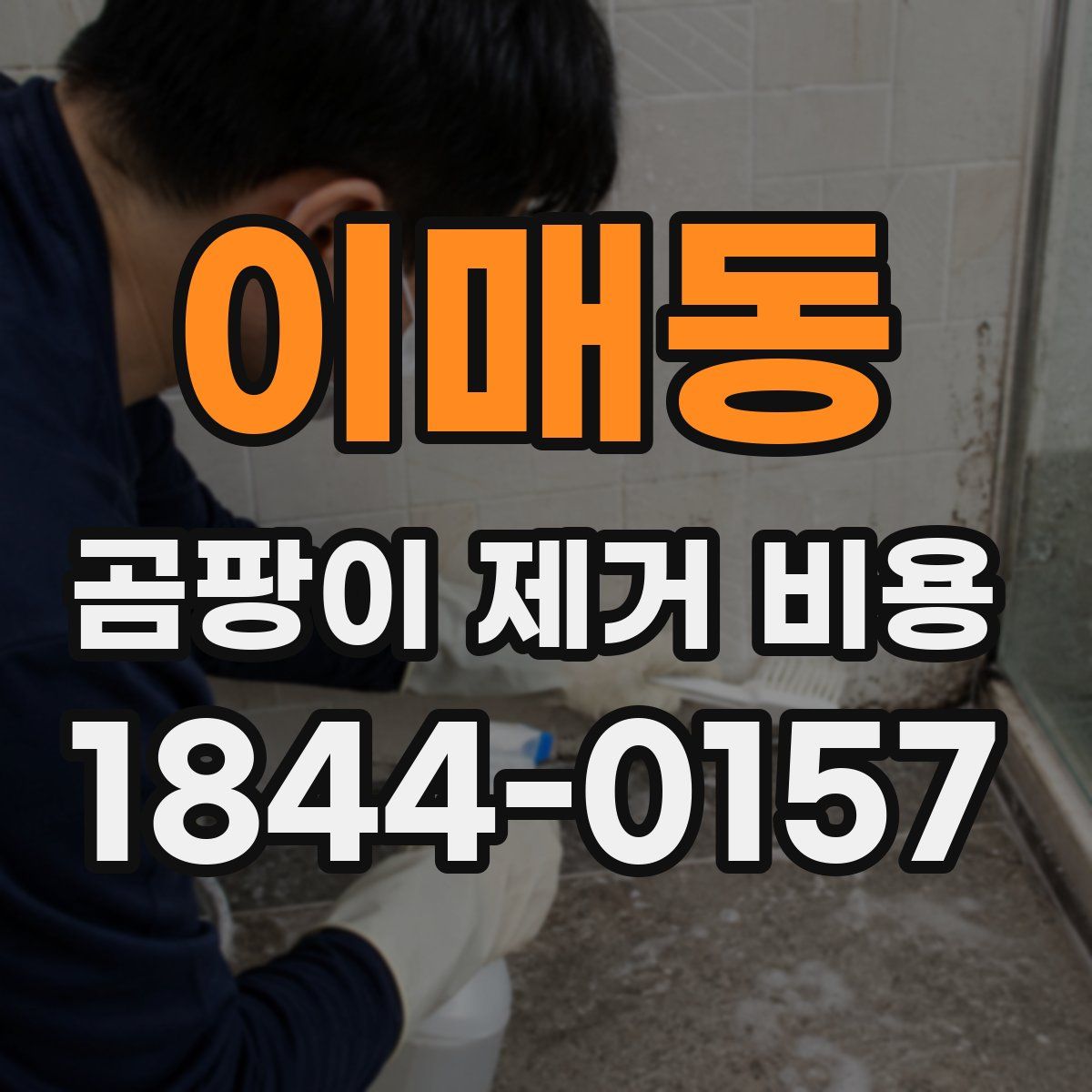 이매동 곰팡이 제거 비용