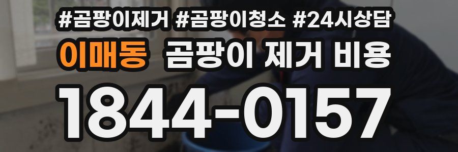 이매동 곰팡이 제거 비용
