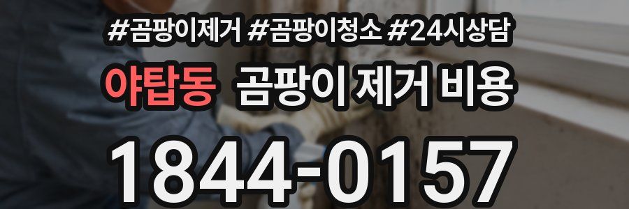 야탑동 곰팡이 제거 비용