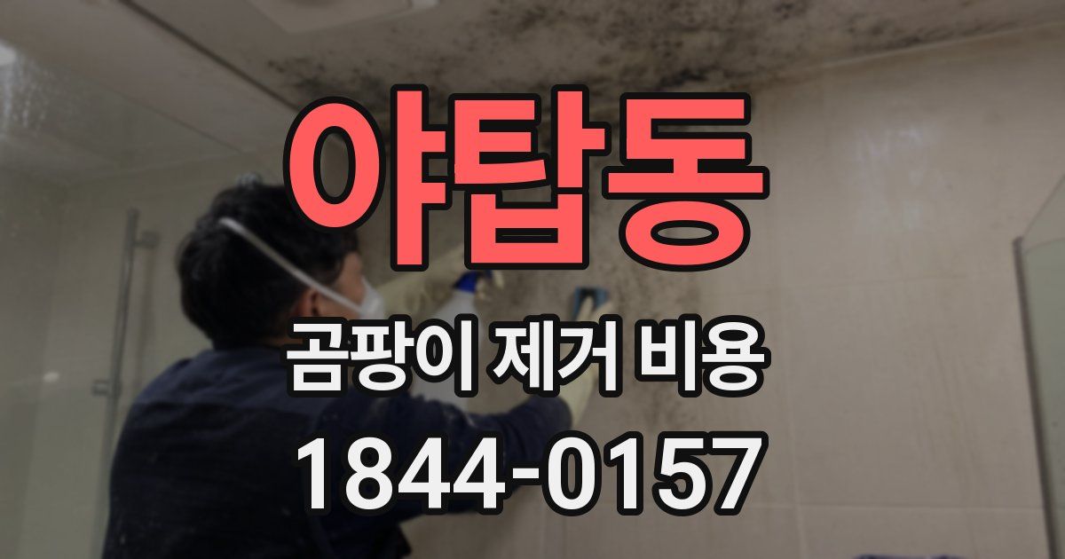 야탑동 곰팡이 제거 비용