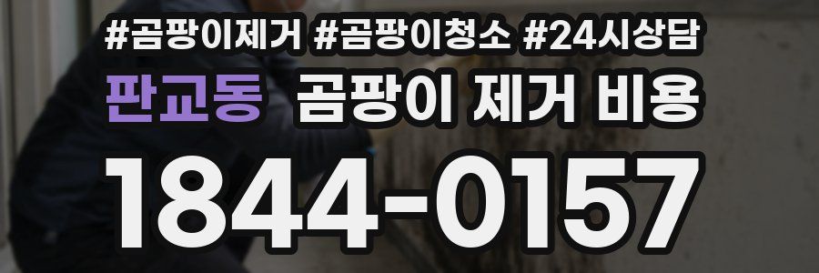 판교동 곰팡이 제거 비용