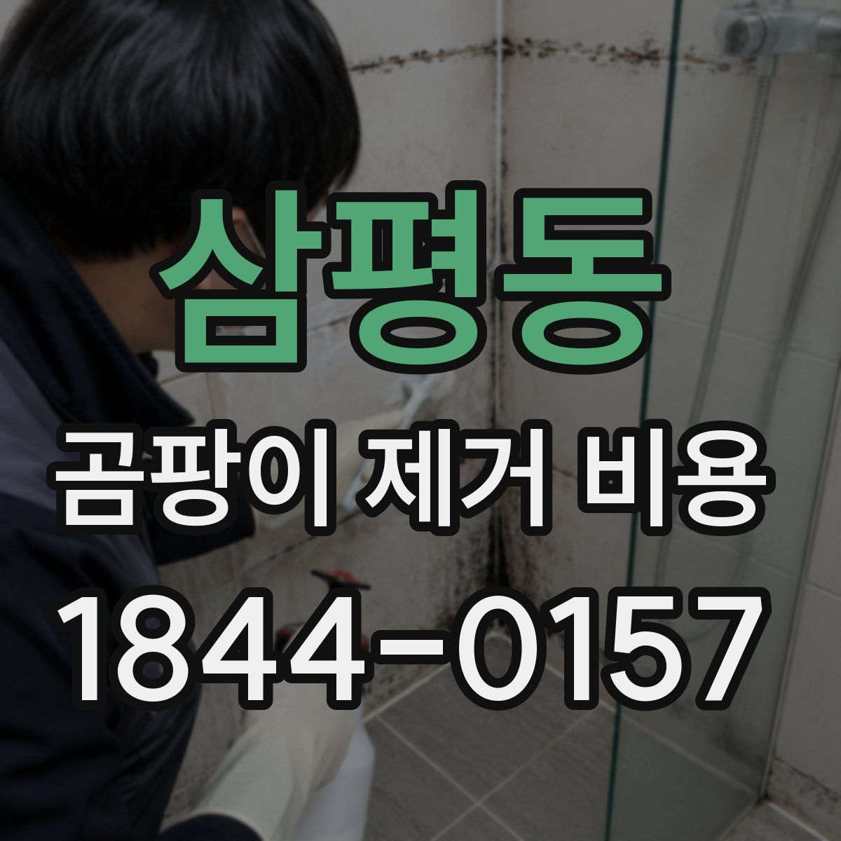 삼평동 곰팡이 제거 비용