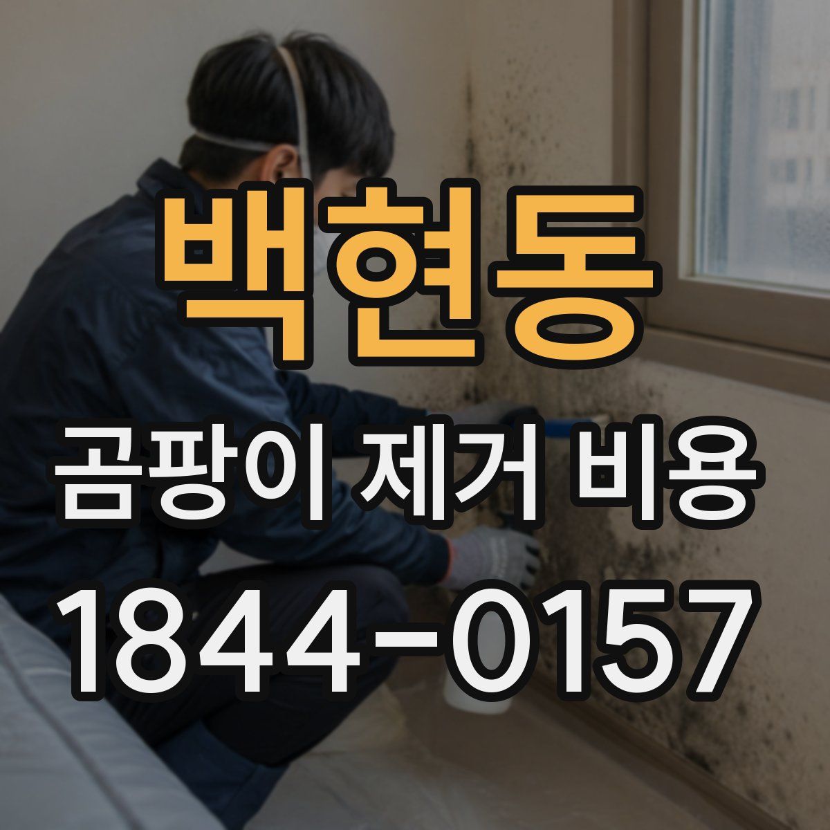백현동 곰팡이 제거 비용