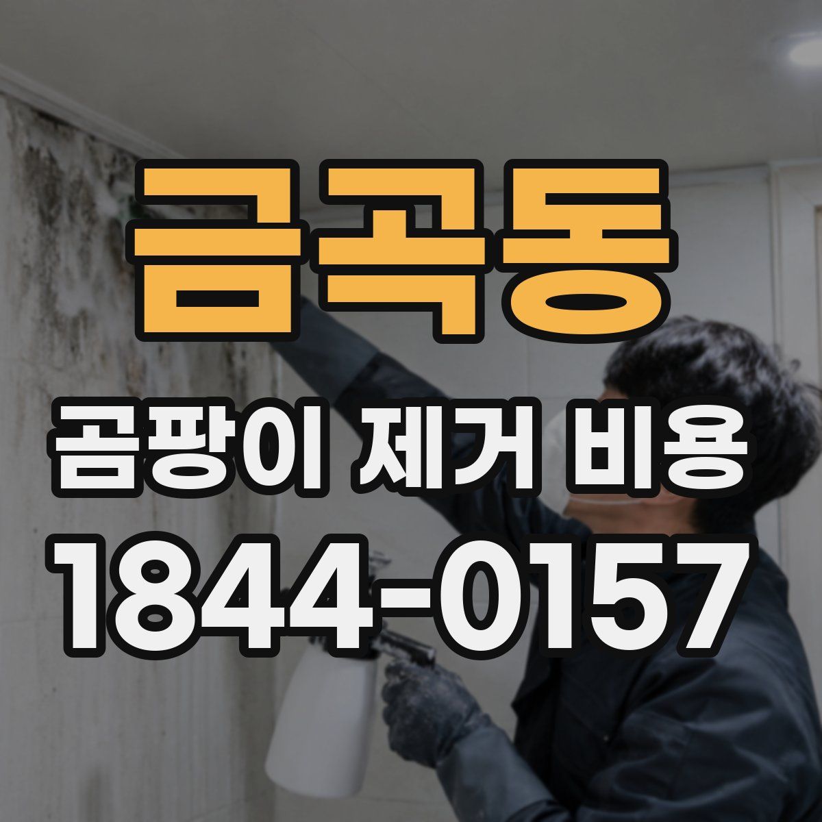 금곡동 곰팡이 제거 비용