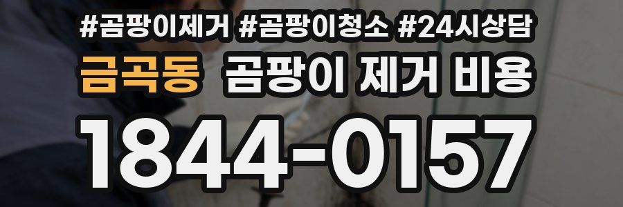 금곡동 곰팡이 제거 비용