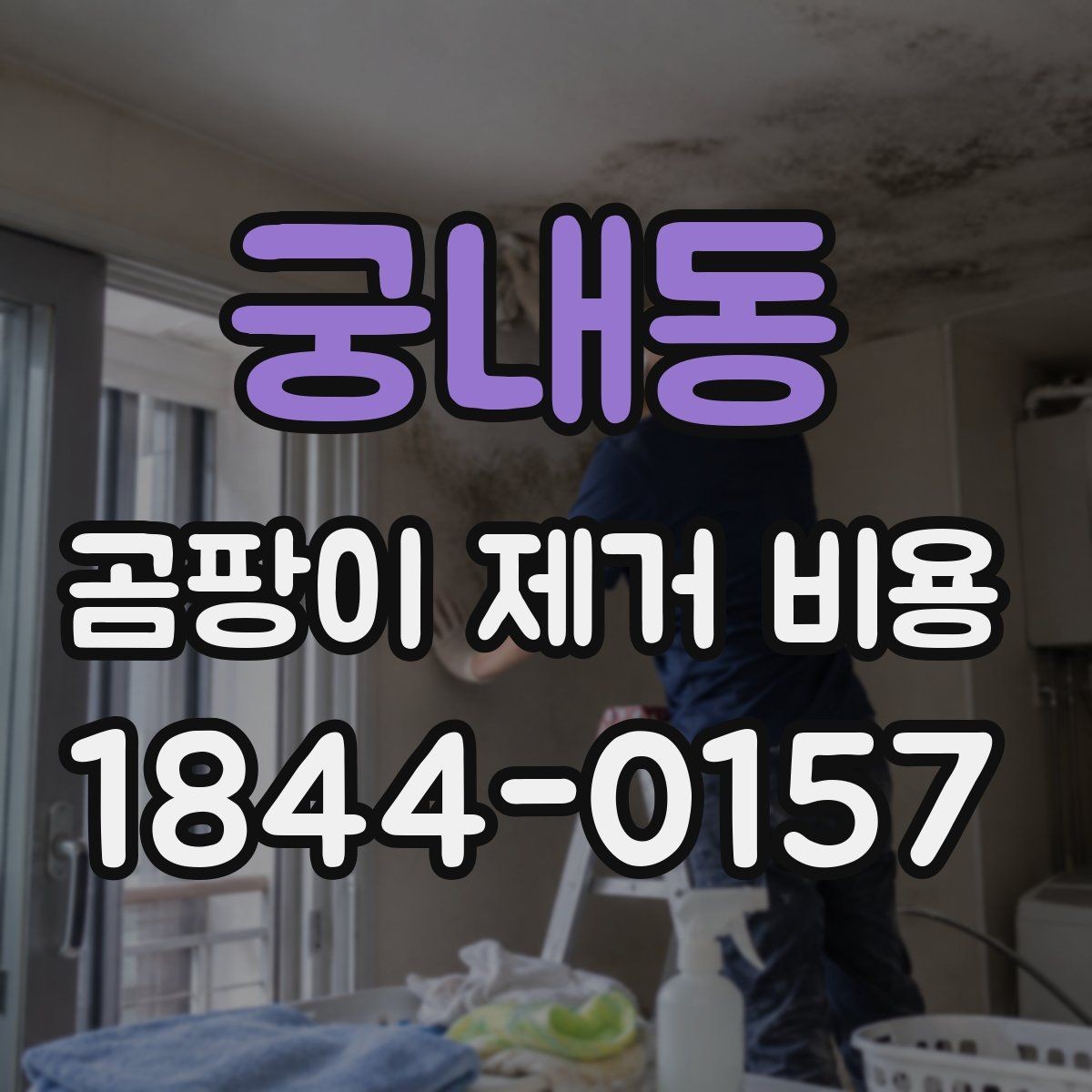 궁내동 곰팡이 제거 비용 부분 보수와 전체 시공을 구분하는 방법