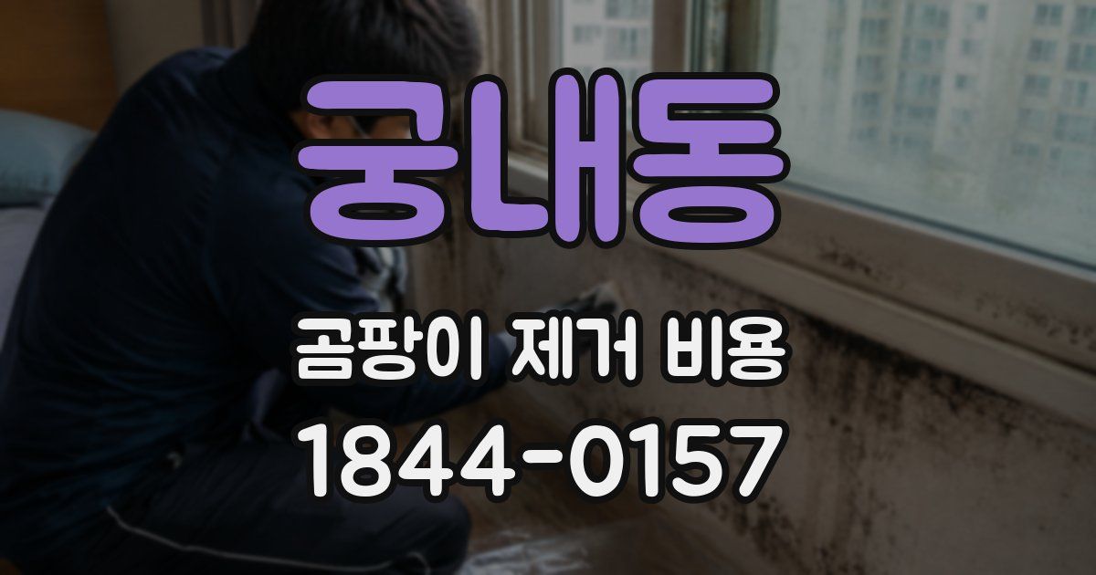 궁내동 곰팡이 제거 비용