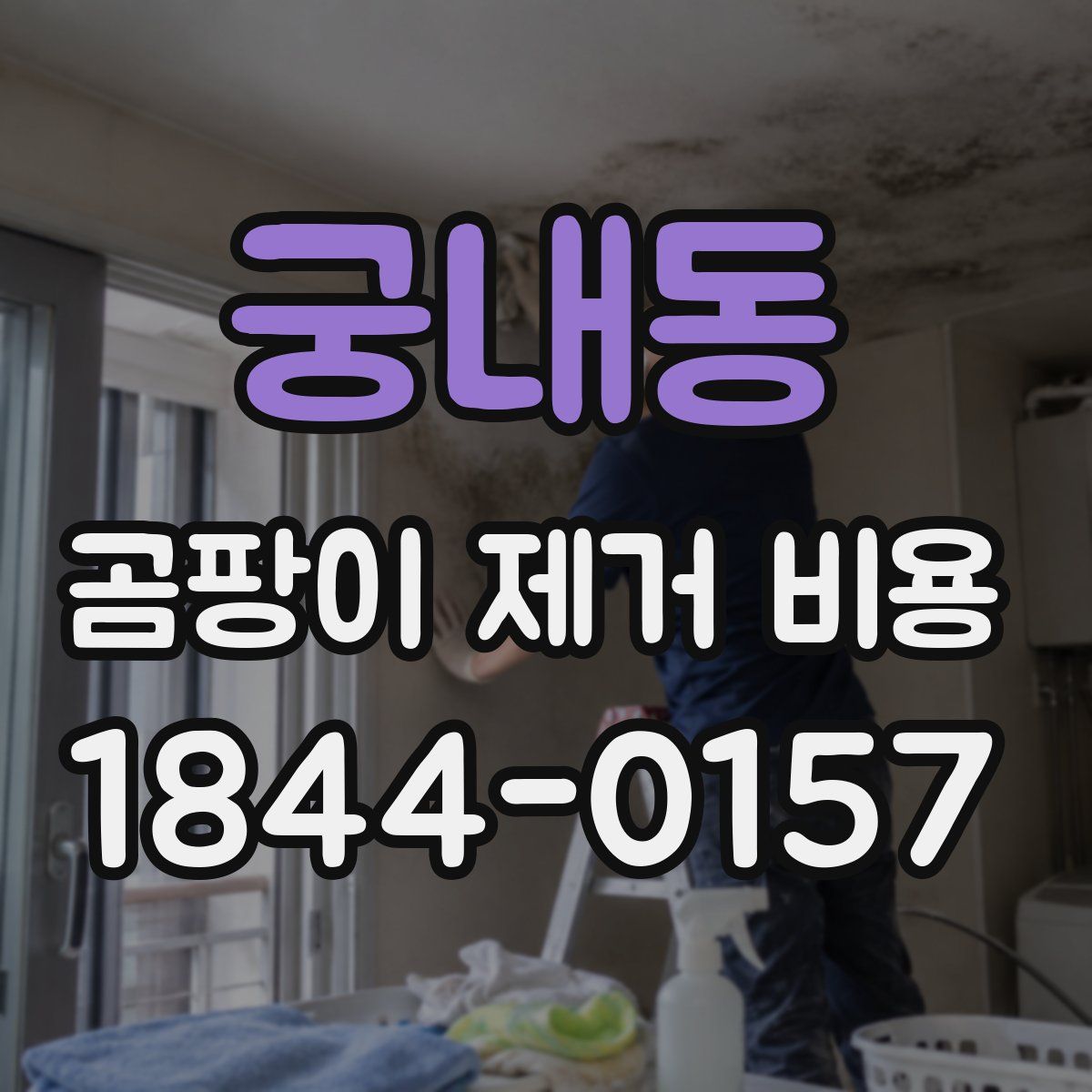 궁내동 곰팡이 제거 비용