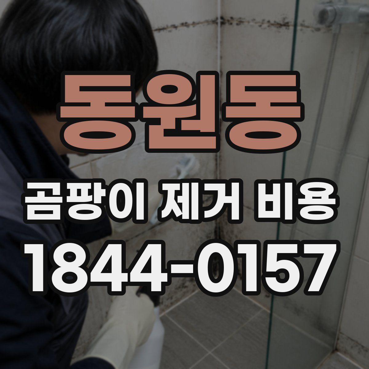 동원동 곰팡이 제거 비용