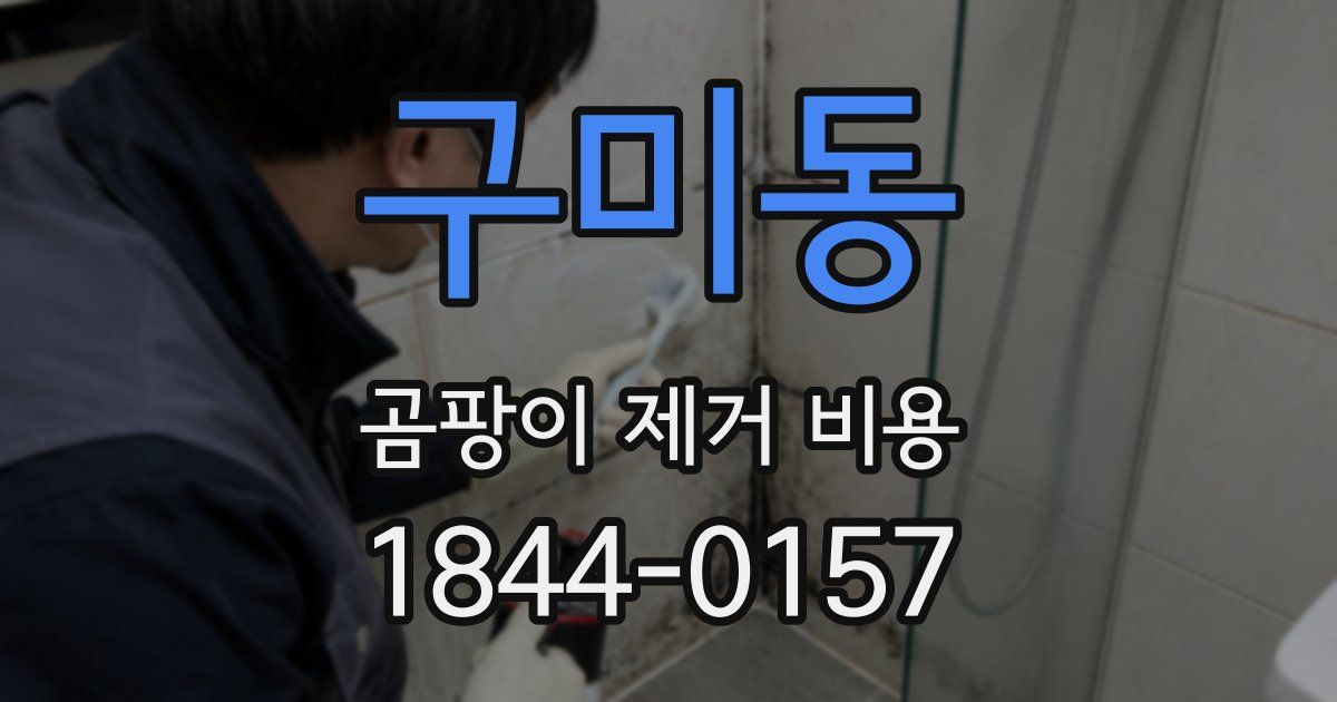 구미동 곰팡이 제거 비용