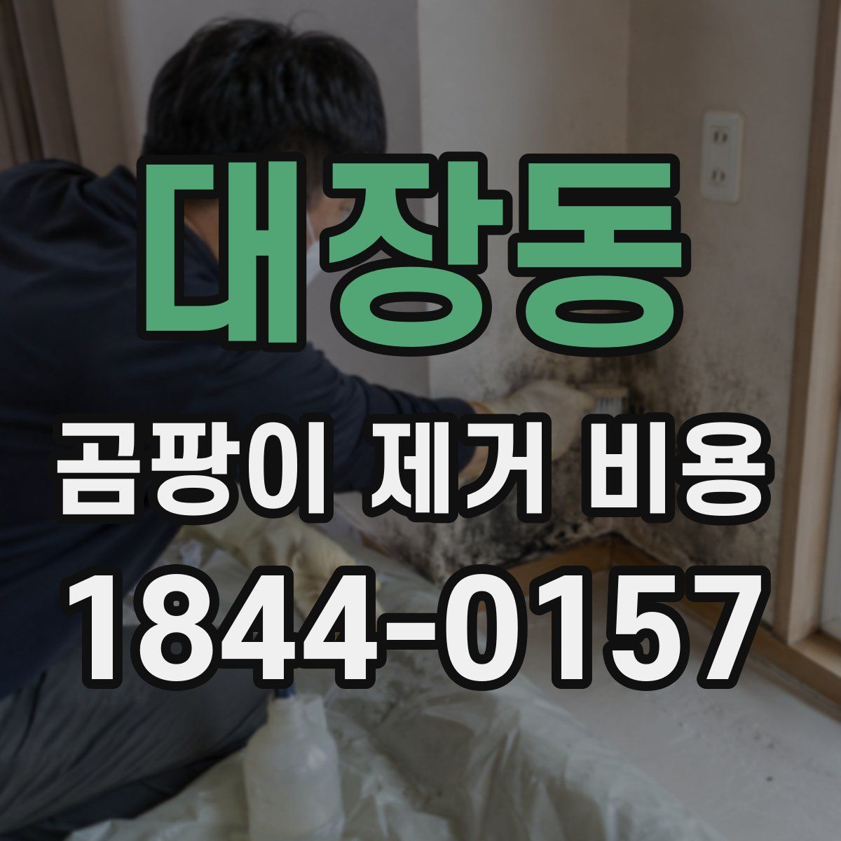 대장동 곰팡이 제거 비용