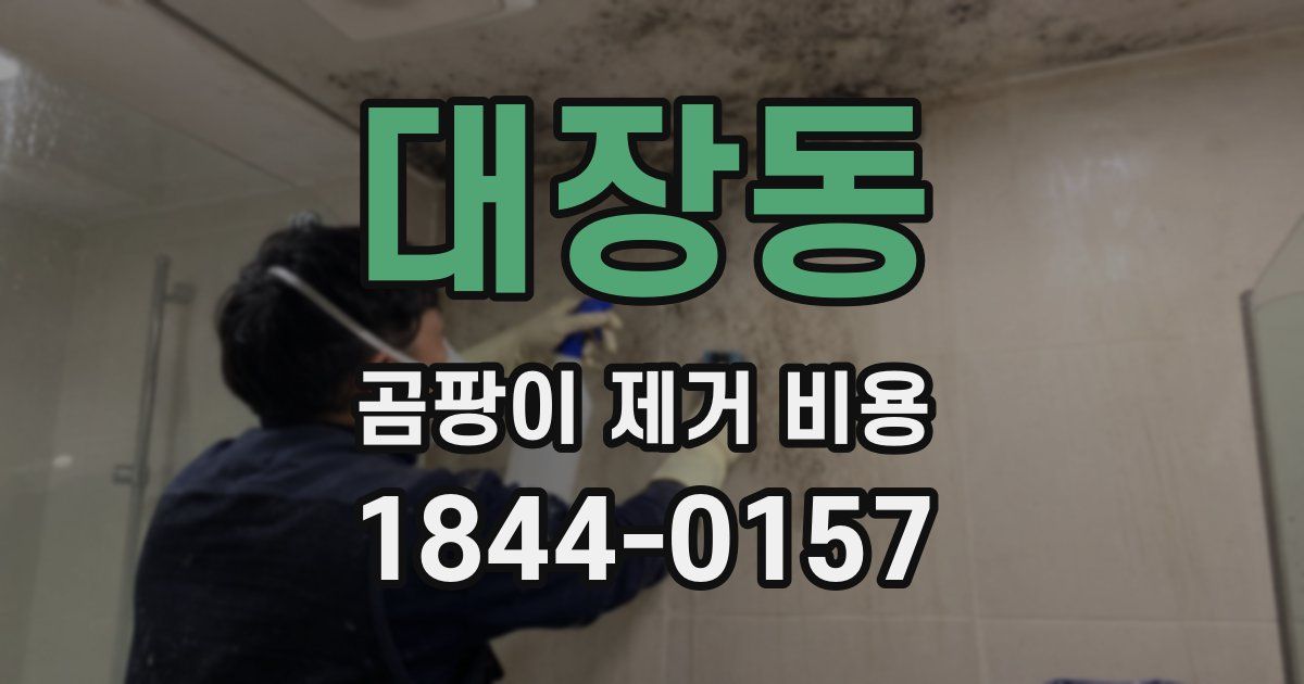 대장동 곰팡이 제거 비용