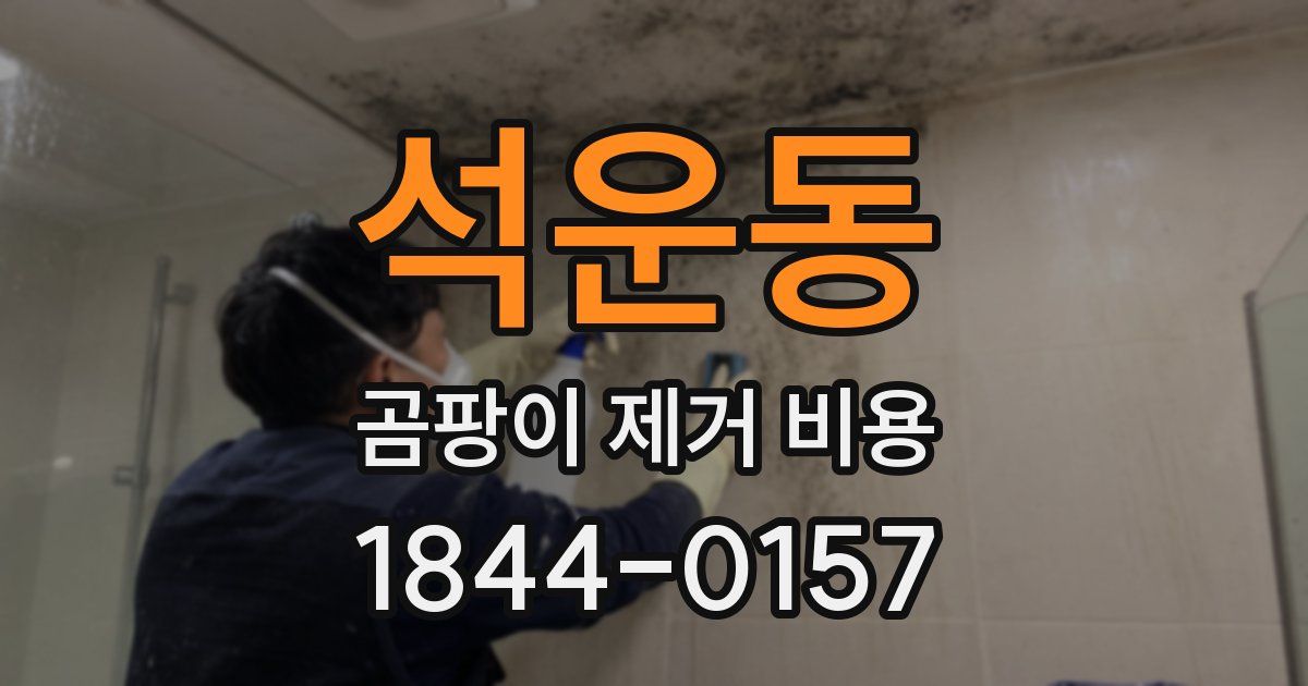 석운동 곰팡이 제거 비용
