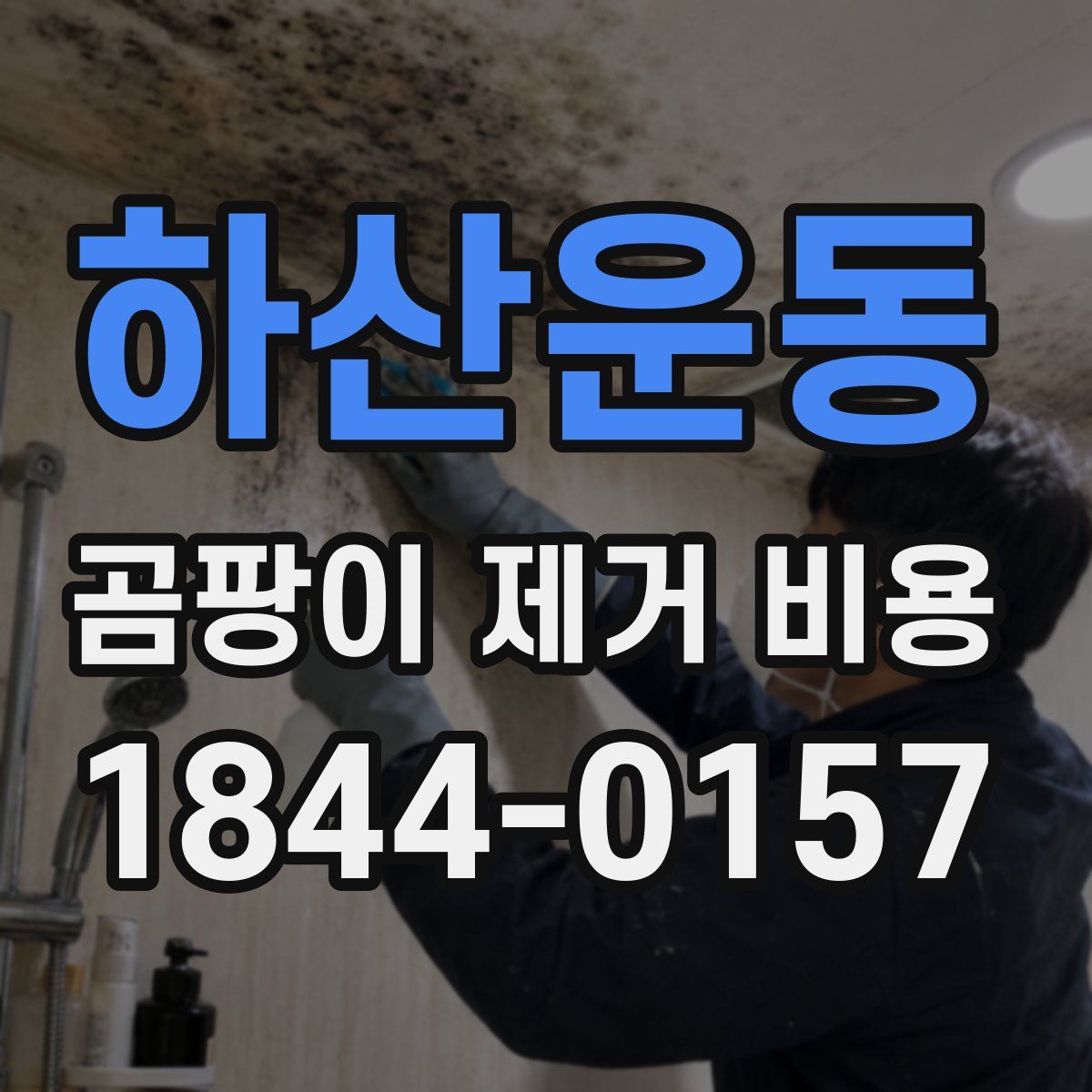 하산운동 곰팡이 제거 비용