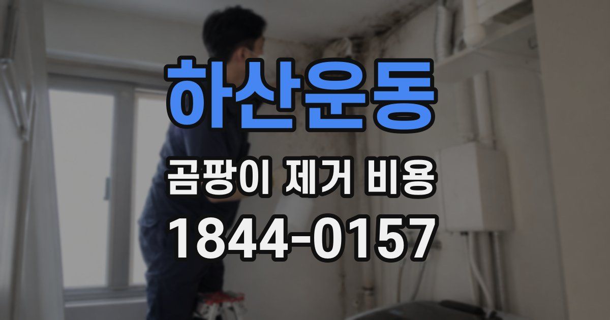 하산운동 곰팡이 제거 비용