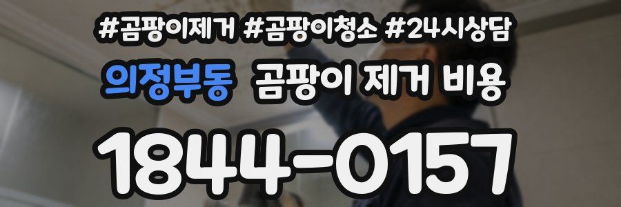 의정부동 곰팡이 제거 비용