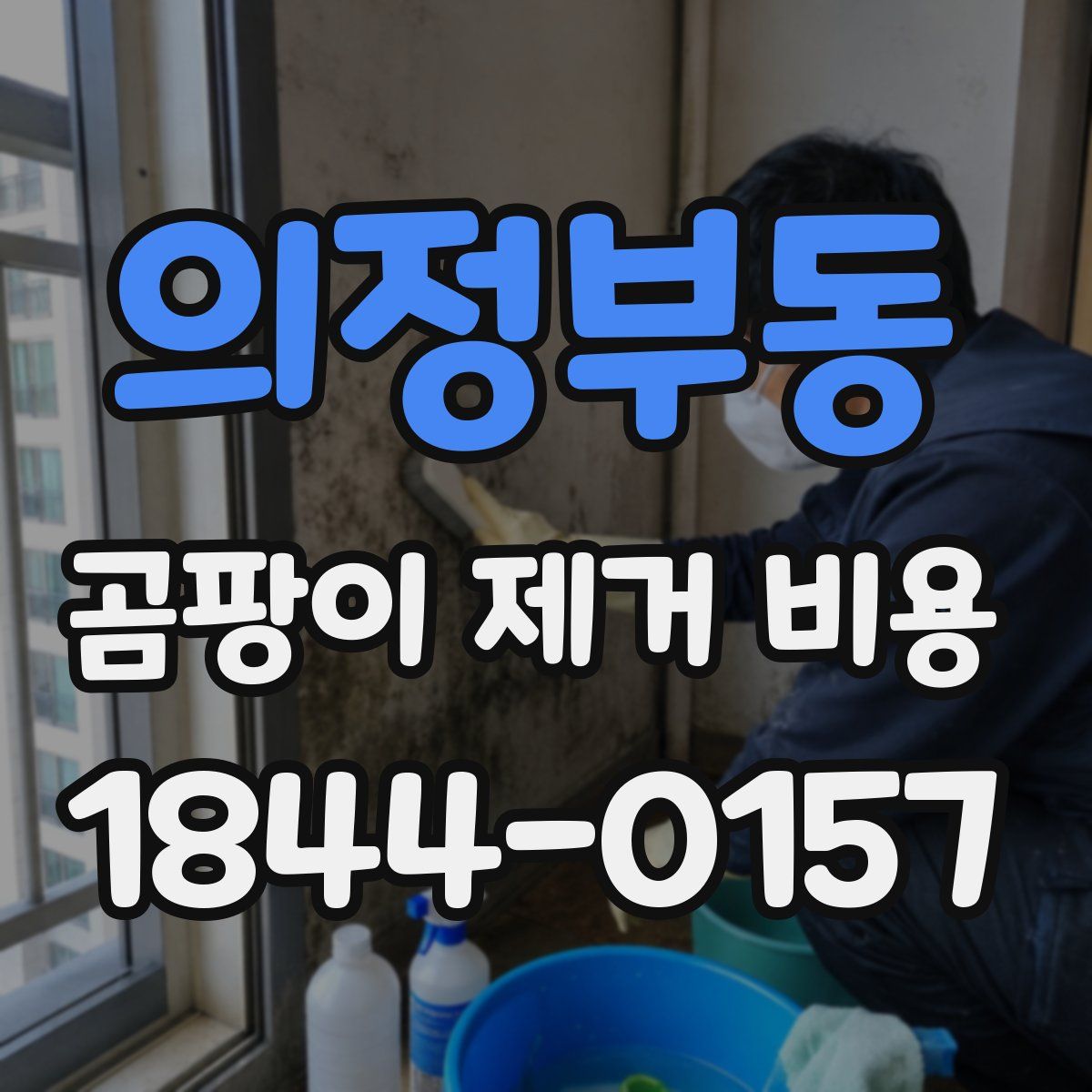 의정부동 곰팡이 제거 비용