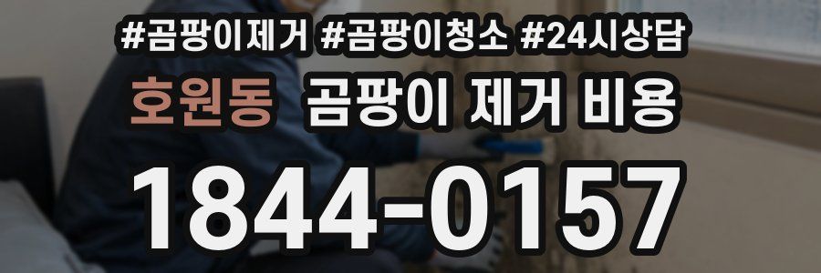 호원동 곰팡이 제거 비용