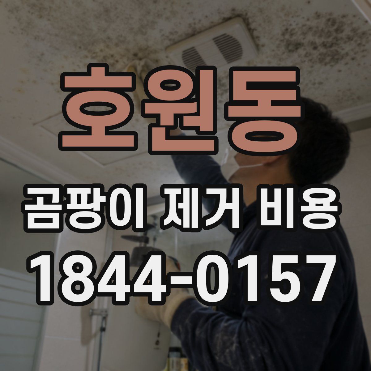 호원동 곰팡이 제거 비용