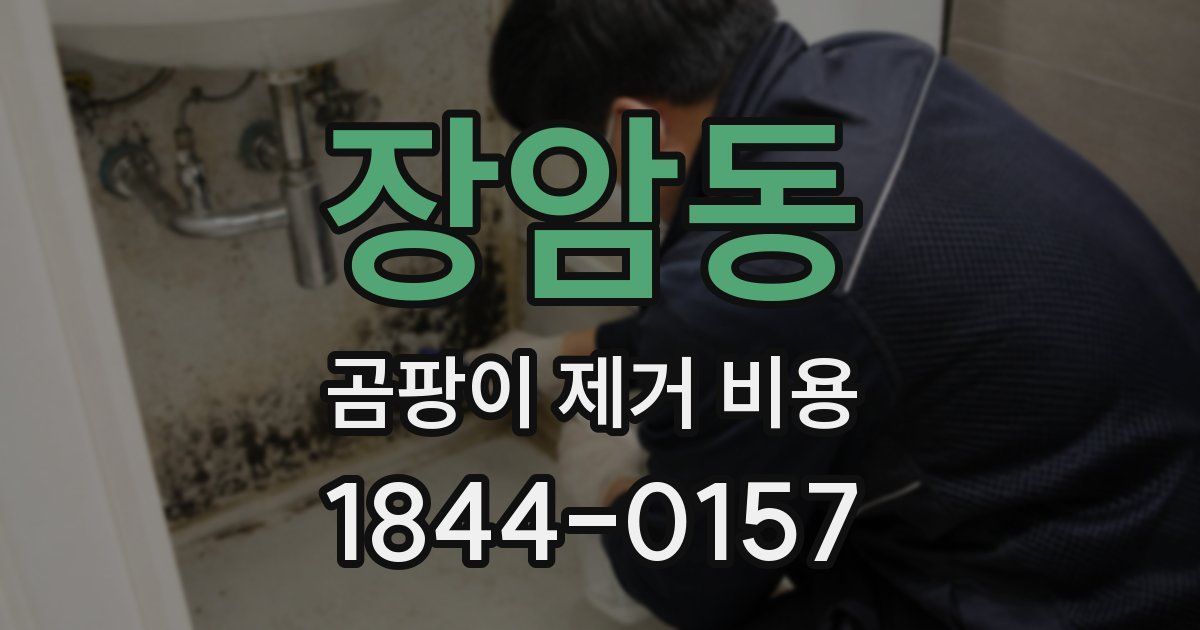 장암동 곰팡이 제거 비용