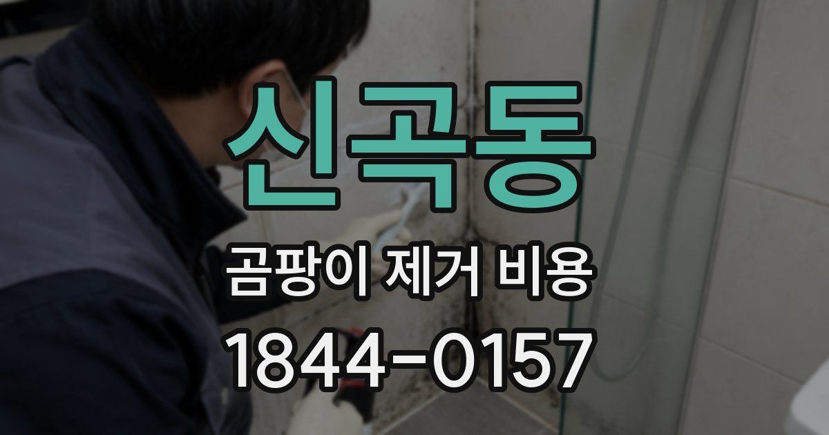 신곡동 곰팡이 제거 비용