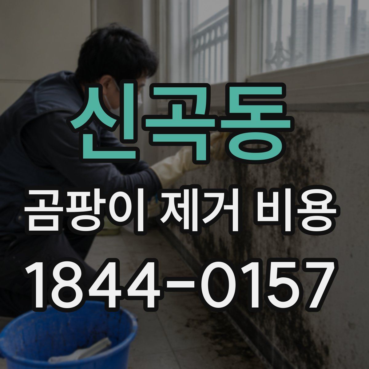 신곡동 곰팡이 제거 비용