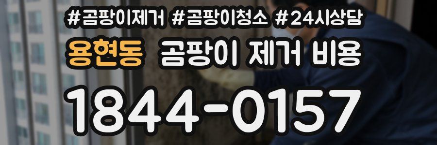 용현동 곰팡이 제거 비용