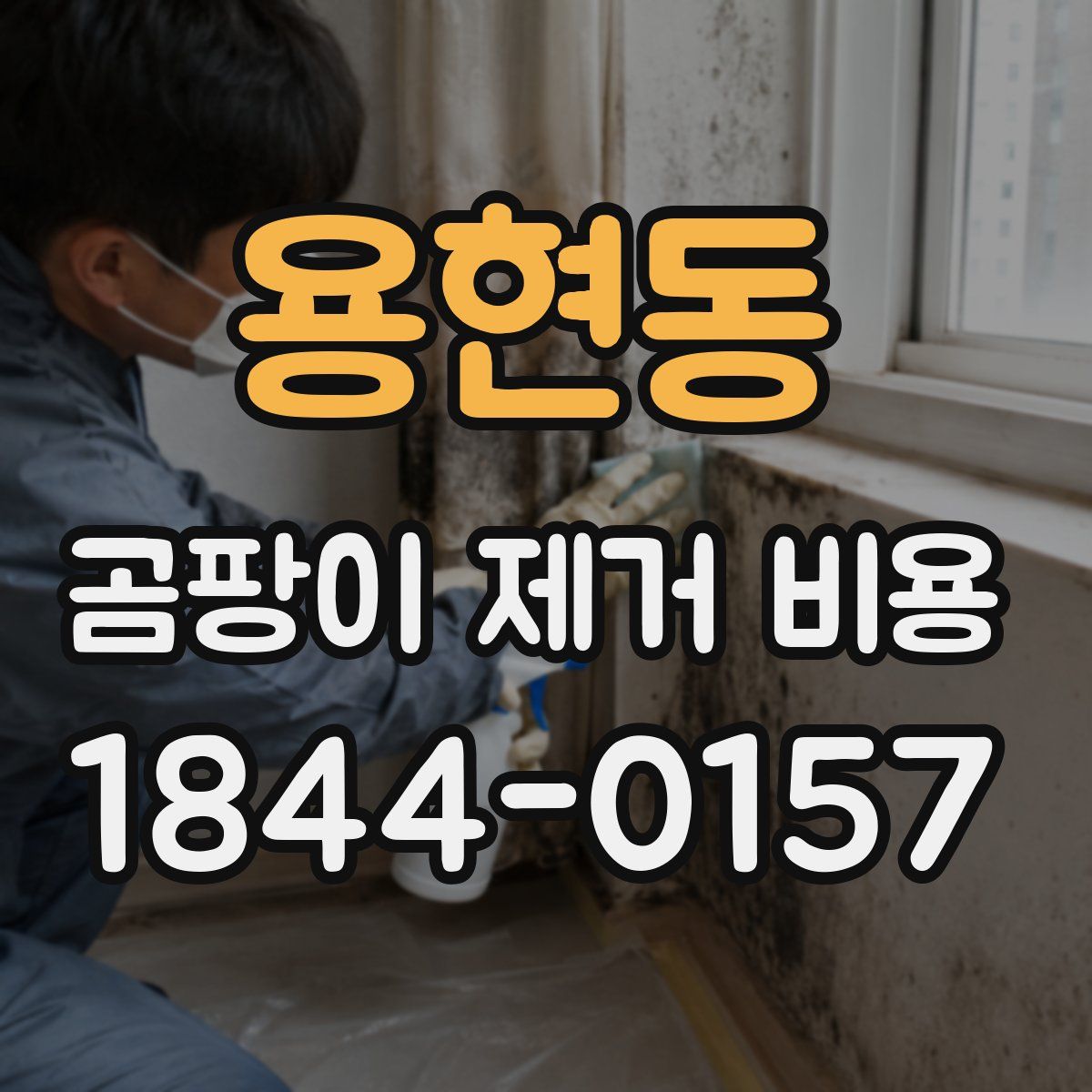 용현동 곰팡이 제거 비용