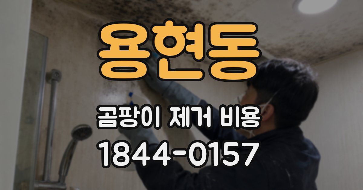 용현동 곰팡이 제거 비용