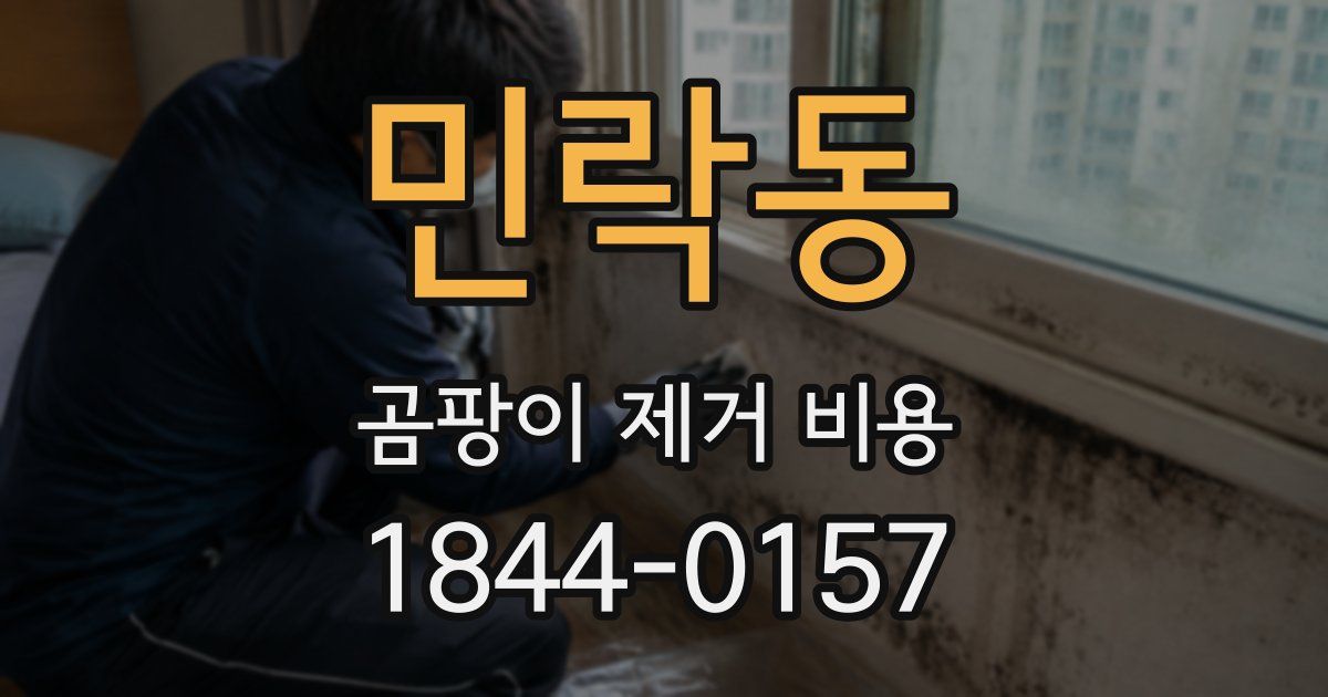 민락동 곰팡이 제거 비용