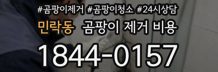 민락동 곰팡이 제거 비용