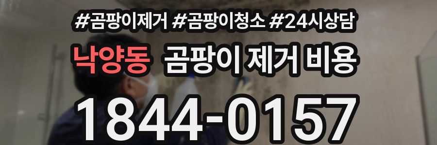 낙양동 곰팡이 제거 비용
