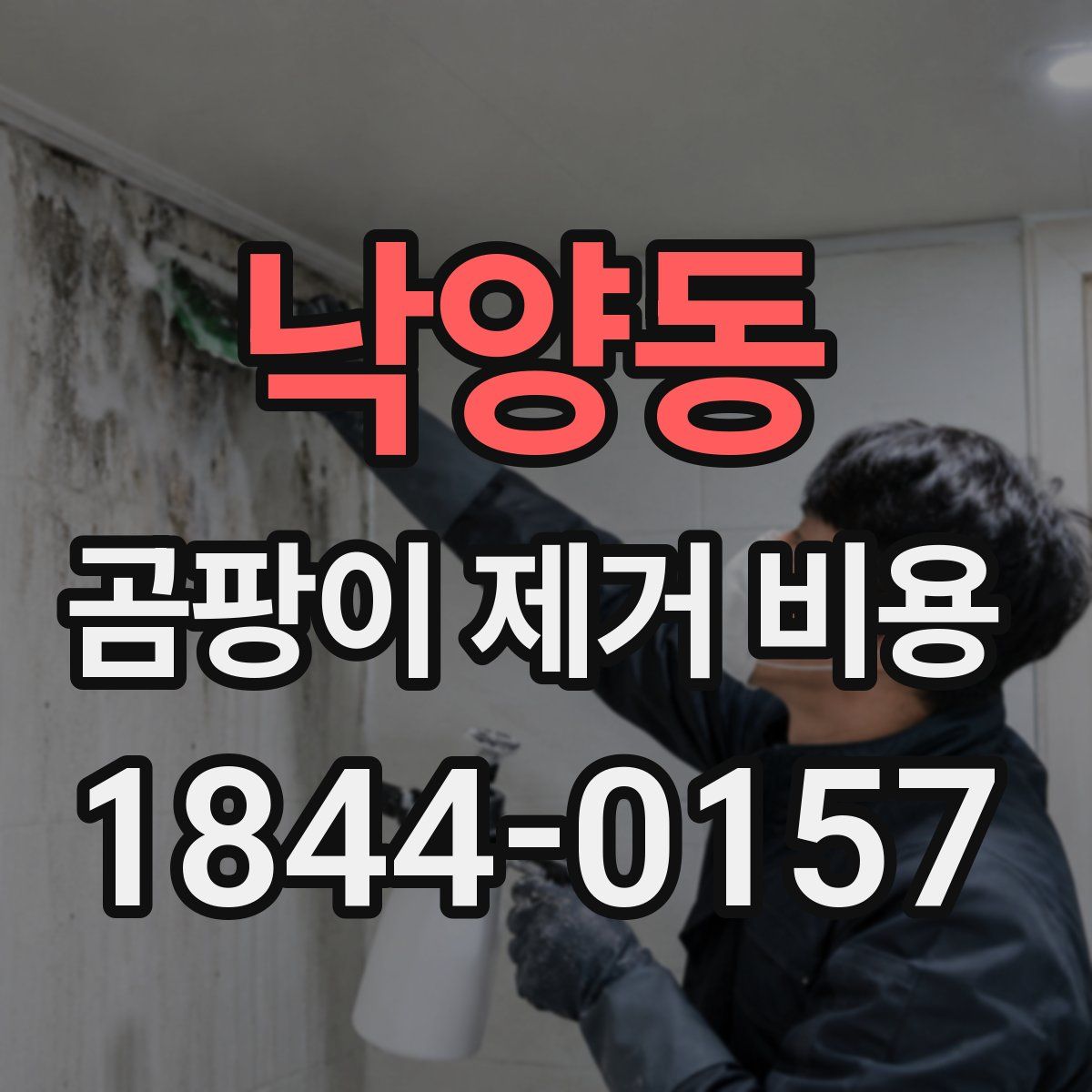 낙양동 곰팡이 제거 비용