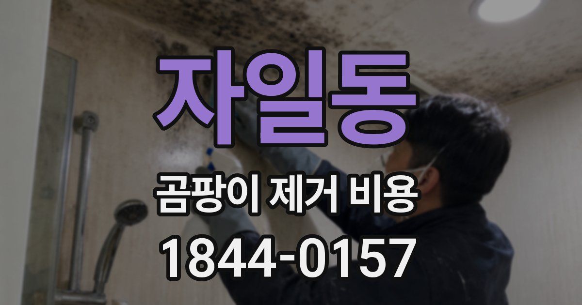 자일동 곰팡이 제거 비용