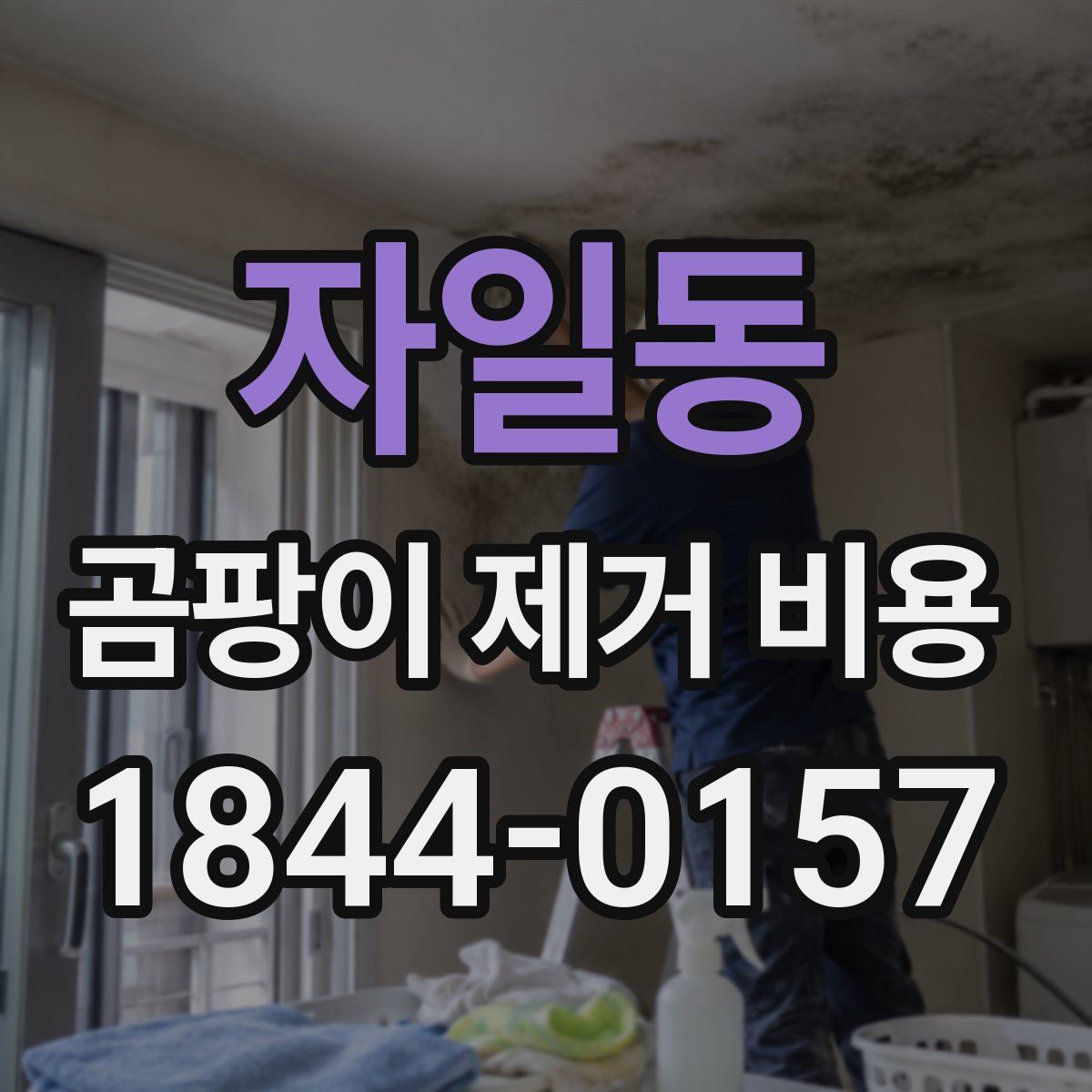 자일동 곰팡이 제거 비용