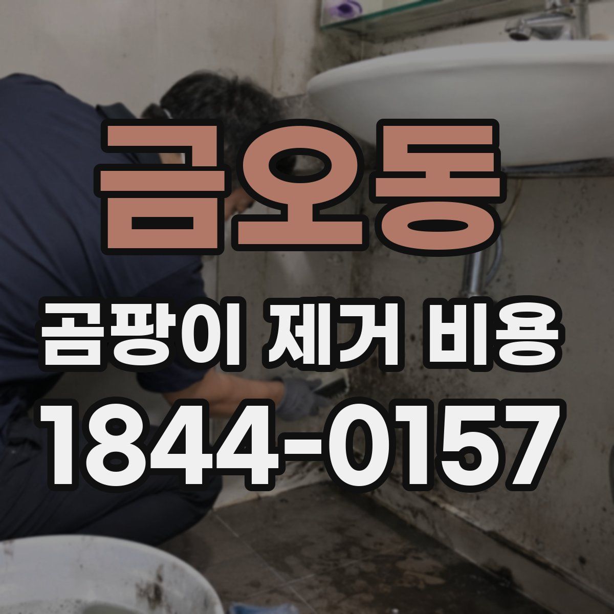 금오동 곰팡이 제거 비용