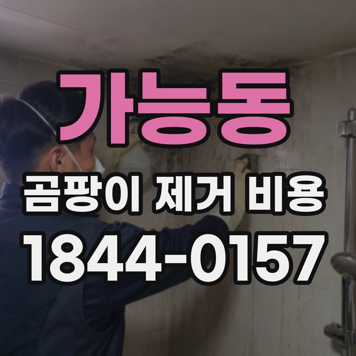 가능동 곰팡이 제거 비용