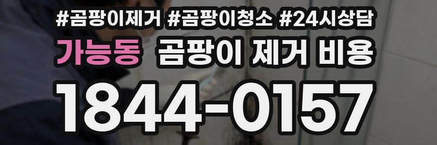 가능동 곰팡이 제거 비용