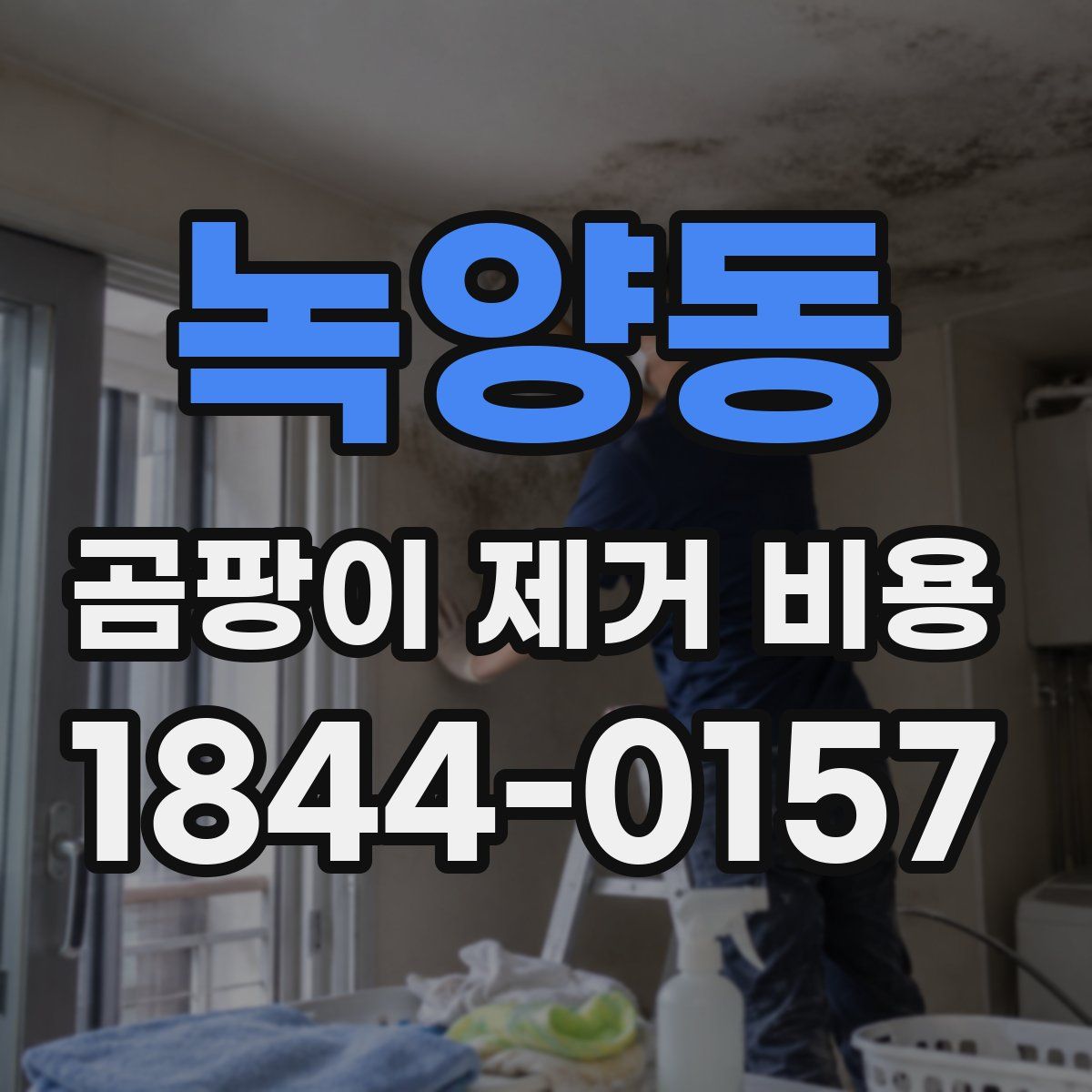 녹양동 곰팡이 제거 비용
